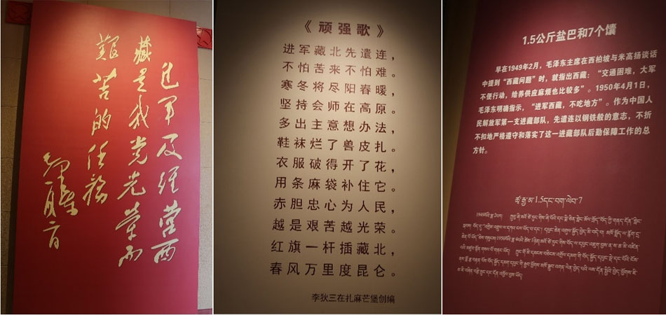 《顽强歌》.jpg