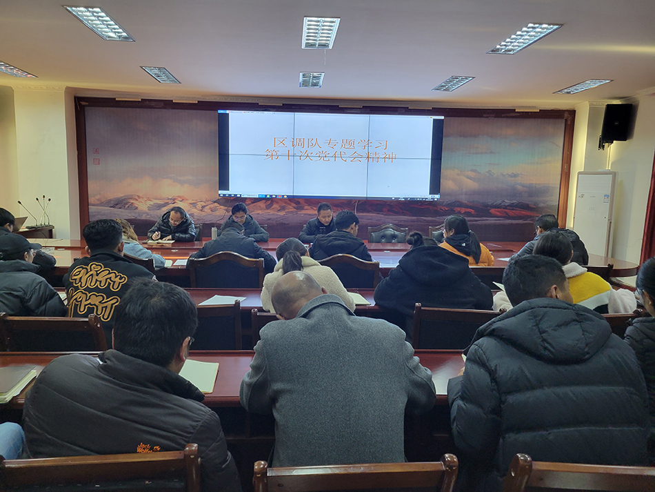 区调队专题学习第十次党代会精神.jpg