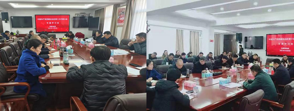 局党组传达学习自治区第十次党代会会议精神.jpg
