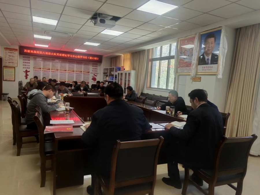 西藏地勘局地质六队召开党委理论学习中心组学习会1.png