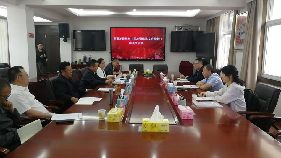 西藏地勘局与中国地调局武汉地调中心座谈交流现场.jpg