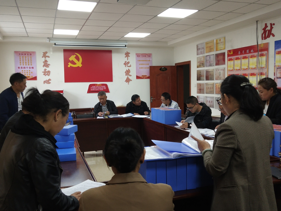各党支部支委开展自查工作.jpg