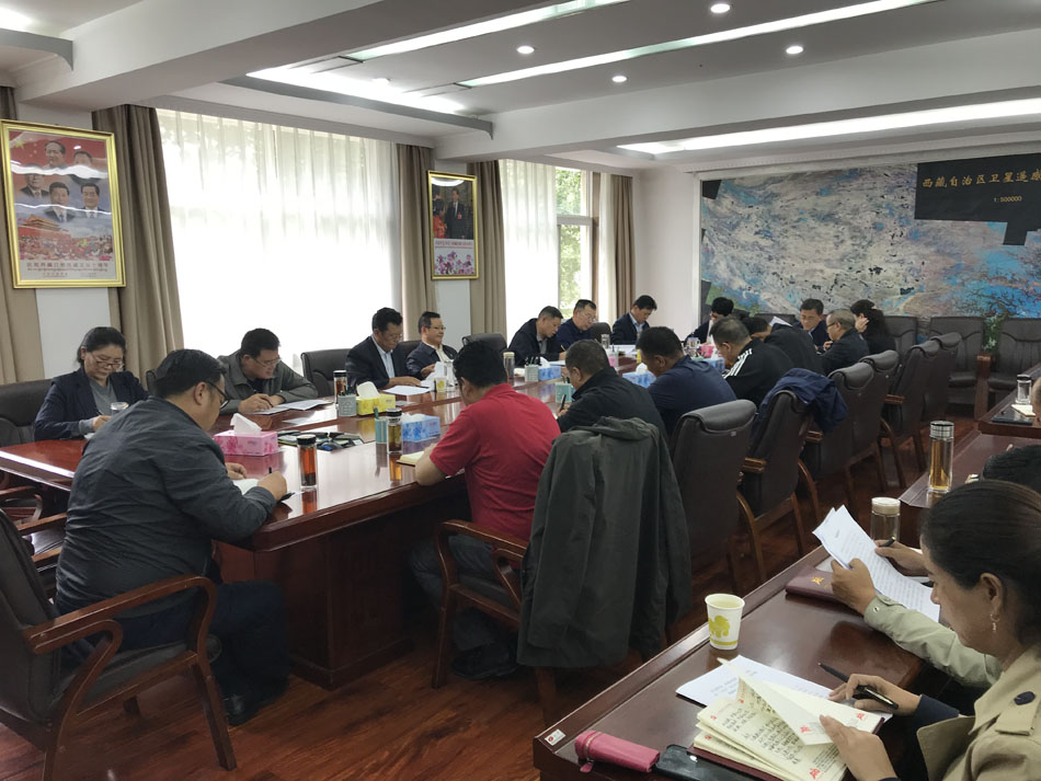 局系统认真学习贯彻习近平总书记在西藏考察时重要讲话精神会议现场.jpg
