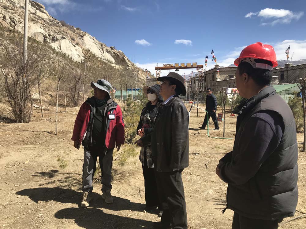 巴桑书记深入工地一线检查指导工作.jpg