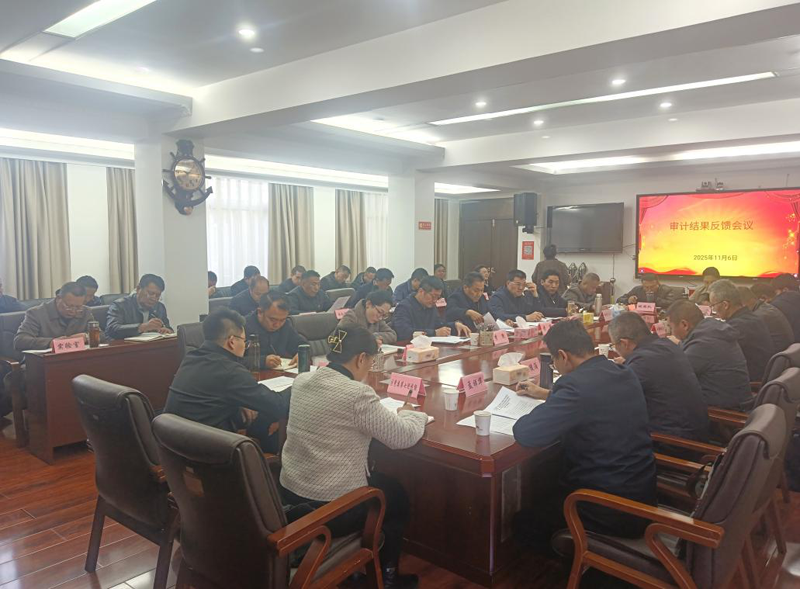 强化政治担当 不折不扣抓好审计整改3.png